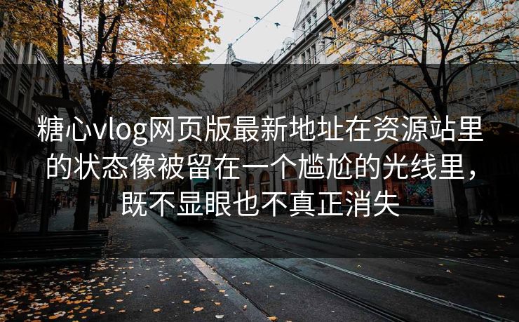 糖心vlog网页版最新地址在资源站里的状态像被留在一个尴尬的光线里，既不显眼也不真正消失